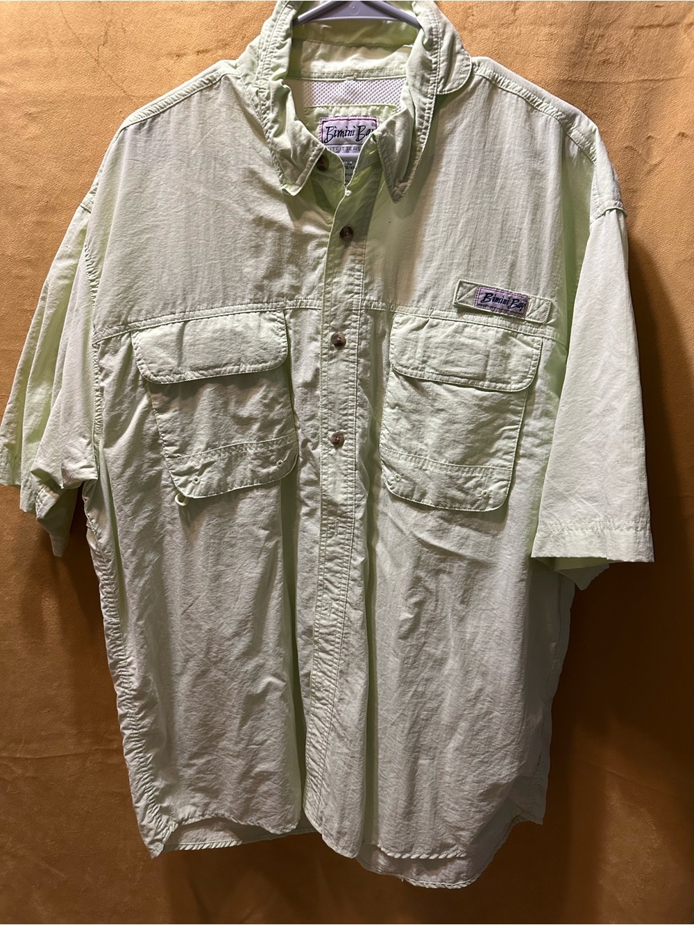 Bimini Bay Men's Short-Sleeve Button-Down Shirt in Pale Green